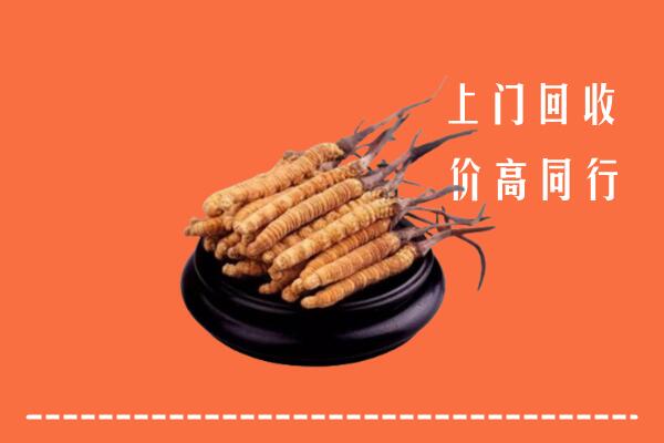 高价求购：石景山回收散虫草