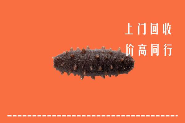 高价求购：石景山回收海参
