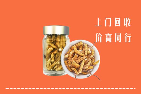 石景山回收冬虫夏草