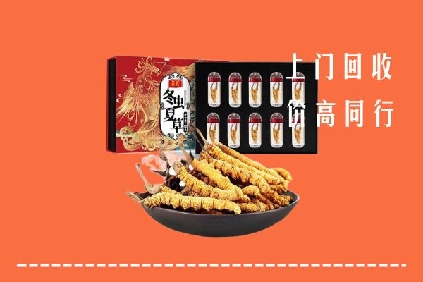 石景山回收虫草